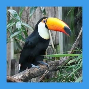 Meet your Posher, Scotty